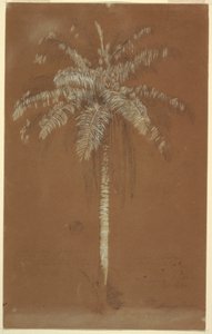 Ritning, Abaye Palm, Mt. Salus, Jamaica, juni 1865 av Frederic Edwin Church