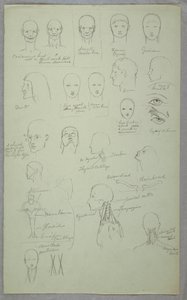 Teckning, Anatomiska studier, 1865-70 av Frederic Edwin Church