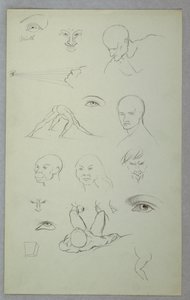 Teckning, Anatomiska studier, 1865-70 av Frederic Edwin Church