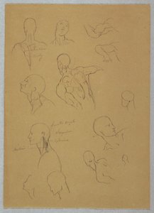 Teckning, Anatomiska studier, 1865-70 av Frederic Edwin Church