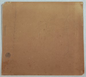 Teckning, Botaniska skisser, Möjligen bambu, palmer och buskar, Ecuador eller Colombia, 1853 eller 1857 av Frederic Edwin Church