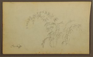 Teckning, Botaniska skisser; Verso: Botaniska skisser, 1857 av Frederic Edwin Church