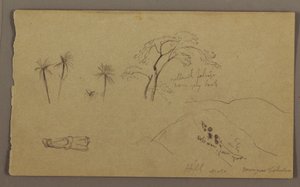 Teckning, Botaniska skisser, figur, maj-augusti 1865 av Frederic Edwin Church