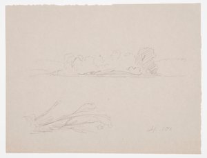 Teckning, Botaniska skisser: landskap, träd vid en strand, september 1876 av Frederic Edwin Church