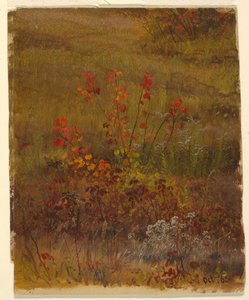 Teckning, Botaniska studier, oktober 1865 av Frederic Edwin Church