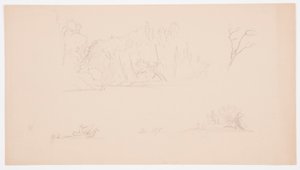 Teckning, Botaniska skisser: träd, träd vid strand, september 1876 av Frederic Edwin Church
