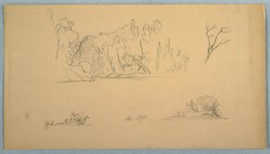Teckning, Botaniska skisser: träd, träd vid strand, september 1876 av Frederic Edwin Church