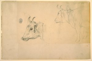 Teckning, boskap, september 1844 av Frederic Edwin Church