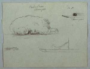 Teckning, Ceibaträd vid Mompos, Champankanot, träd och en del av en båt, Rio Magdelena, Colombia, 1853, troligen maj av Frederic Edwin Church