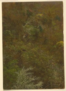 Teckning, sluttning täckt av buskar och träd, juli 1865 av Frederic Edwin Church