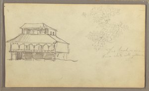 Teckning, Hus, Botanisk skiss, Ecuador eller Colombia, 1857 av Frederic Edwin Church