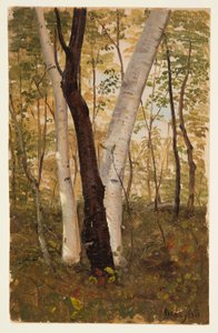 Teckning, I skogen, Hudson, New York, oktober 1865 av Frederic Edwin Church