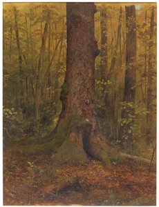 Teckning, I skogen, troligen Maine, 1850-60 av Frederic Edwin Church