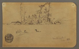 Teckning, Ö, Två lommar, 1878 av Frederic Edwin Church