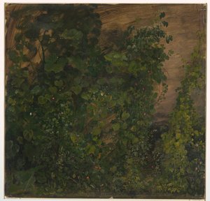 Ritning, djungelvegetation, 1865 av Frederic Edwin Church