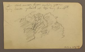 Teckning, Landskap, hus; Averso: Trädtopp, februari 1885 av Frederic Edwin Church