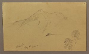 Teckning, Landskap, växter, Bloxburgh, augusti 1865 av Frederic Edwin Church