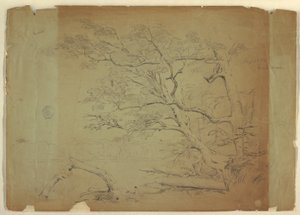 Teckning, Landskap med träd och en bäck [], Grand Manan Island, Kanada, september 1851 av Frederic Edwin Church