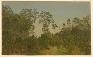 Teckning, Landskap, juli 1865 av Frederic Edwin Church
