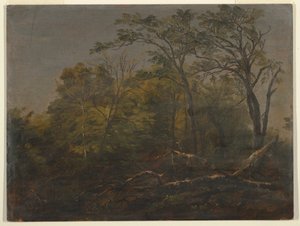 Teckning, Maine Woods, 1845-55 av Frederic Edwin Church