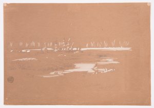 Teckning, Träskigt landskap nära Millinocket, 20 september 1878 av Frederic Edwin Church