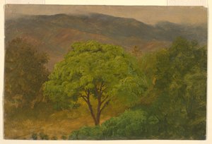 Teckning, Bergslandskap, augusti 1865 av Frederic Edwin Church