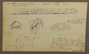 Teckning, bergskedjor "som går in i Guayaquil"; Verso: Flodbank, botaniska skisser, möjligen 1857 av Frederic Edwin Church
