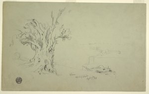 Teckning, Olivträd, Olivberget, apri 1868 av Frederic Edwin Church