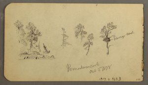 Teckning, studier av tallar, 1878 av Frederic Edwin Church