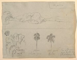 Teckning, Skisser från Colombia:  Stranden vid en flod eller vik, och träd, 1853 av Frederic Edwin Church