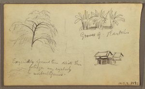 Teckning, gathörn i Guaquil, Ecuador; Verso: Botaniska skisser, hus, Ecuador eller Colombia, 1857 av Frederic Edwin Church