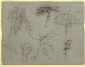 Teckning, Studier av träd, Ecuador, 1853 av Frederic Edwin Church