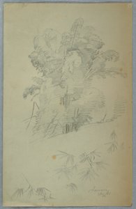 Teckning, Studier av träd och grenar, Jamaica, augusti 1865 av Frederic Edwin Church