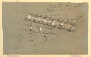 Teckning, studie av bambu, juni 1857 av Frederic Edwin Church