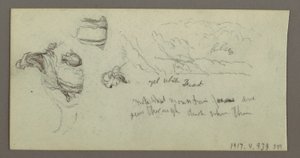 Teckning, Studie av kamelben, möjligen 1868 av Frederic Edwin Church