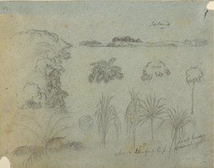 Teckning, Studie med trädtoppar, träd, fem växtmönster och en avlägsen ö, ca 1852-53 av Frederic Edwin Church