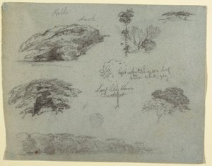 Teckning, Träd, trädtoppar och en skogsbeklädd bank, Saddleback, Maine, 1853 av Frederic Edwin Church