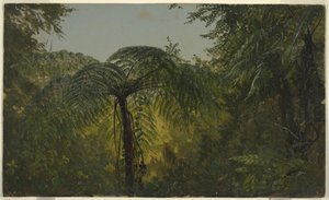 Teckning, Tropiskt landskap, juni eller juli 1865 av Frederic Edwin Church