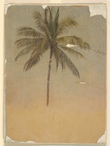 Teckning, Stam och topp på en palm, 1865 av Frederic Edwin Church