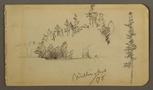 Teckning, Skogsklädd strand, trädstudie, 1878 av Frederic Edwin Church