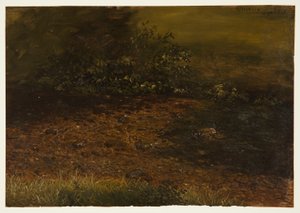 Teckning, Skogsbäck i Catskills, september 1848 av Frederic Edwin Church