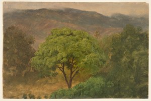 Genip-träd i bergen, Jamaica av Frederic Edwin Church