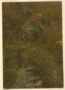 Hillside with Trees, Jamaica av Frederic Edwin Church
