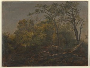 Maine Woods av Frederic Edwin Church