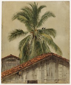 Palmer och hustak, Ecuador av Frederic Edwin Church