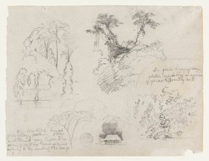 Skisser från Sydamerika, troligen från Colombia.  Botaniska skisser.  Ett hus. av Frederic Edwin Church