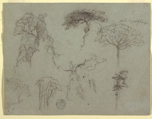 Studier av träd, Ecuador av Frederic Edwin Church