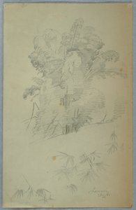 Studies of Trees and Boughs, Jamaica av Frederic Edwin Church