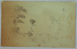 Studier av träd med detaljer av bambu och en liten detalj av en man som bär bananer på huvudet, Bellevue, Jamaica av Frederic Edwin Church