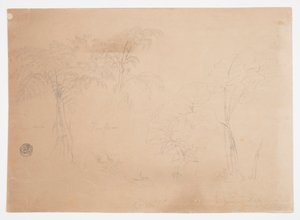Studie av två träd och tre växter, nära Jorje, Ecuador av Frederic Edwin Church